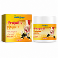 Gel de Própolis para Articulaciones 50g South Moon