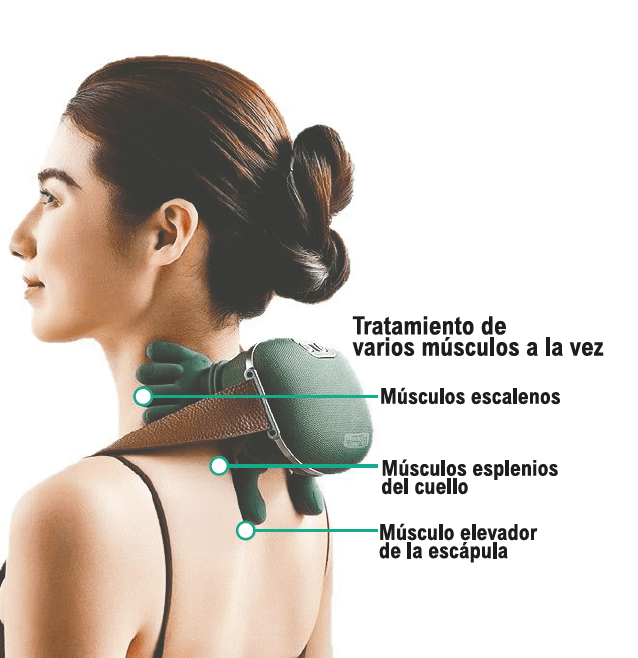 Masajeador Shiatsu 4D