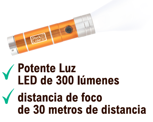 Linterna LED
