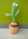 Cactus bailarín