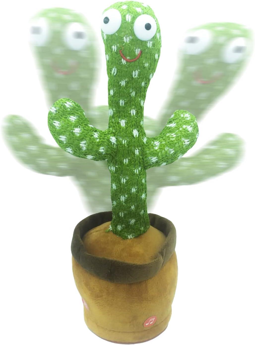 Cactus Baila Graba