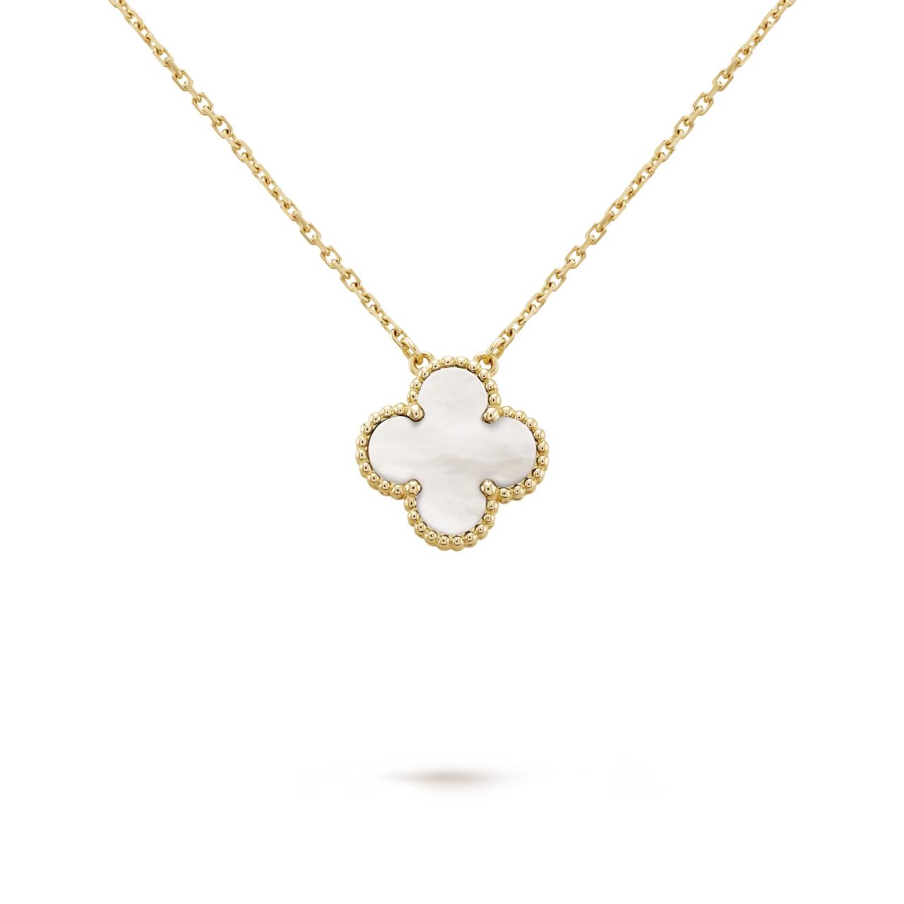 Collar 1 Vc + Caja de Collar