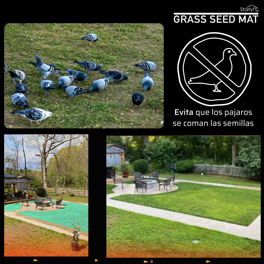 Alfombra de germinación rápida de césped
