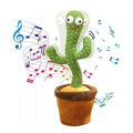 Cactus Baila Graba