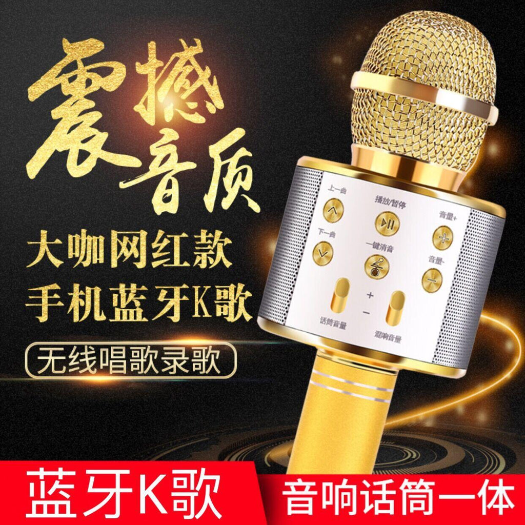 Microfono Ws-858