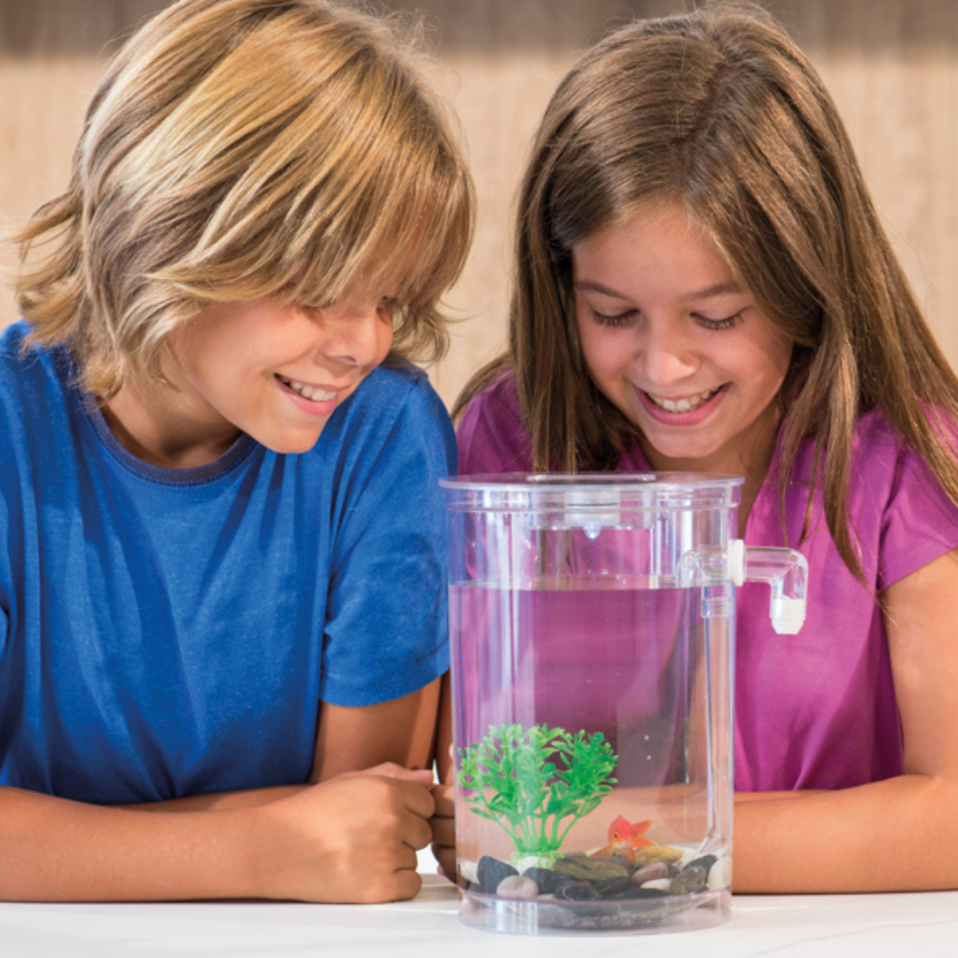 Acuario con Sistema de Limpieza Integrado y Luz LED