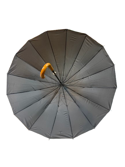 Paraguas