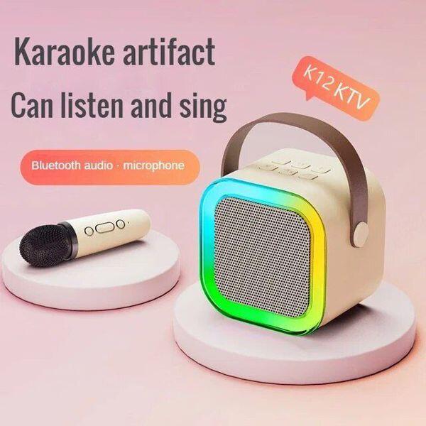 Altavoz y Microfono K12